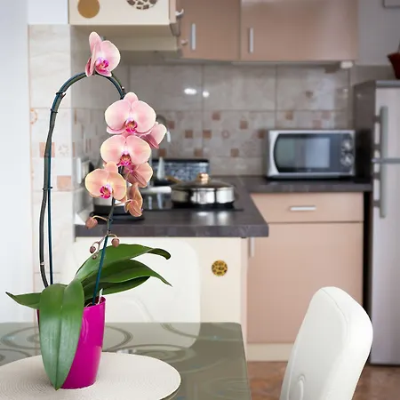 Daire Best Apartments Szeged *