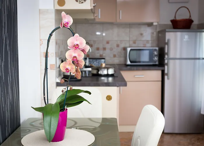 Lägenhet Best Apartments Szeged *